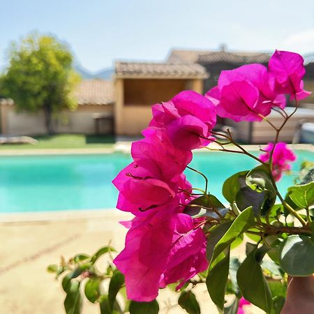 2 Hebergements - 10 Couchages - Parking, Piscine, Jacuzzi - Convivialite Roquebrune-sur-Argens Eksteriør bilde