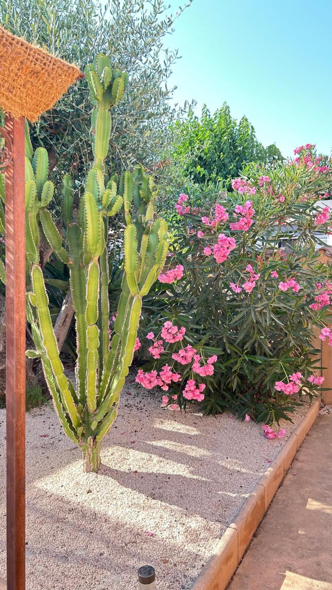 2 Hebergements - 10 Couchages - Parking, Piscine, Jacuzzi - Convivialite Roquebrune-sur-Argens Eksteriør bilde