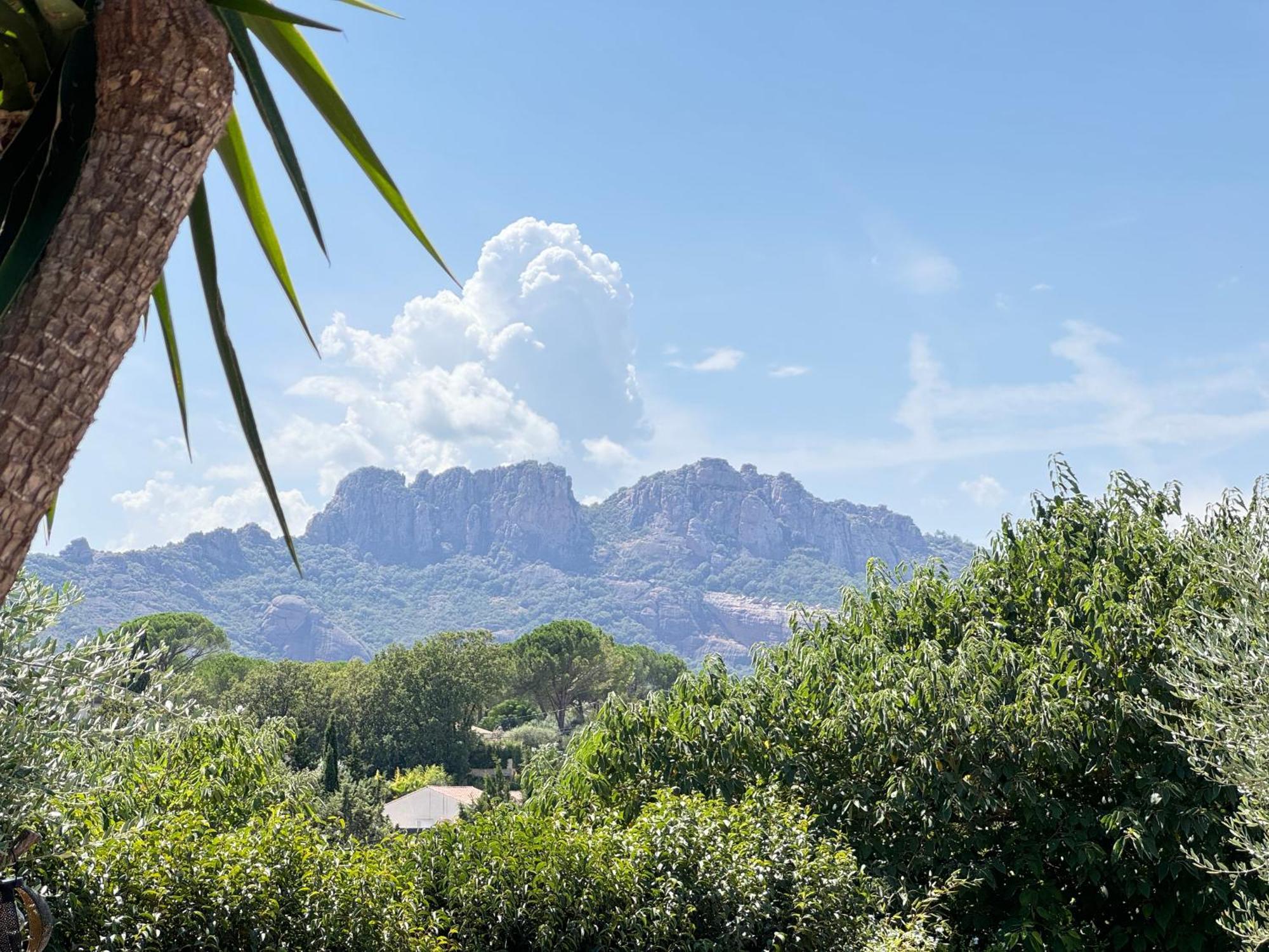 2 Hebergements - 10 Couchages - Parking, Piscine, Jacuzzi - Convivialite Roquebrune-sur-Argens Eksteriør bilde